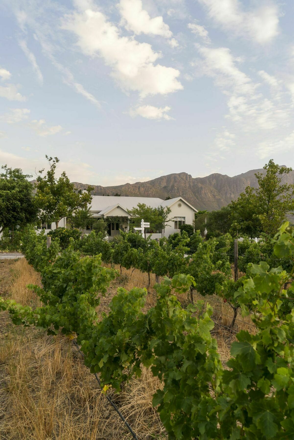 Cape Vue Country House Hotel Franschhoek Exterior photo
